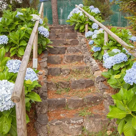 Quinta Do Santo By Lovelystay Дом отдыха