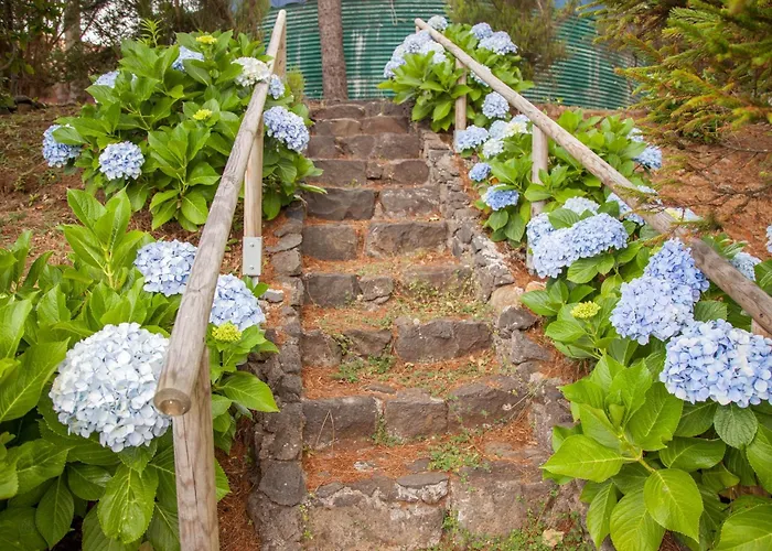 Quinta Do Santo By Lovelystay 度假居